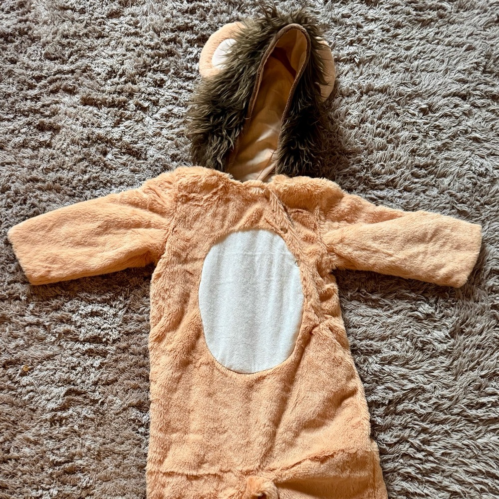 Pottery Barn Kids Tan Lion Costume